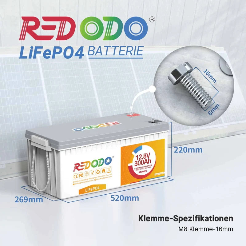  Litime Batería LiFePO4 de litio de 12 V 300 Ah, BMS
