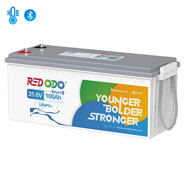 【Nur€439,91】RedodoLiFePO424V100AhSolarbatteriemitBluetoothundSmartBMS